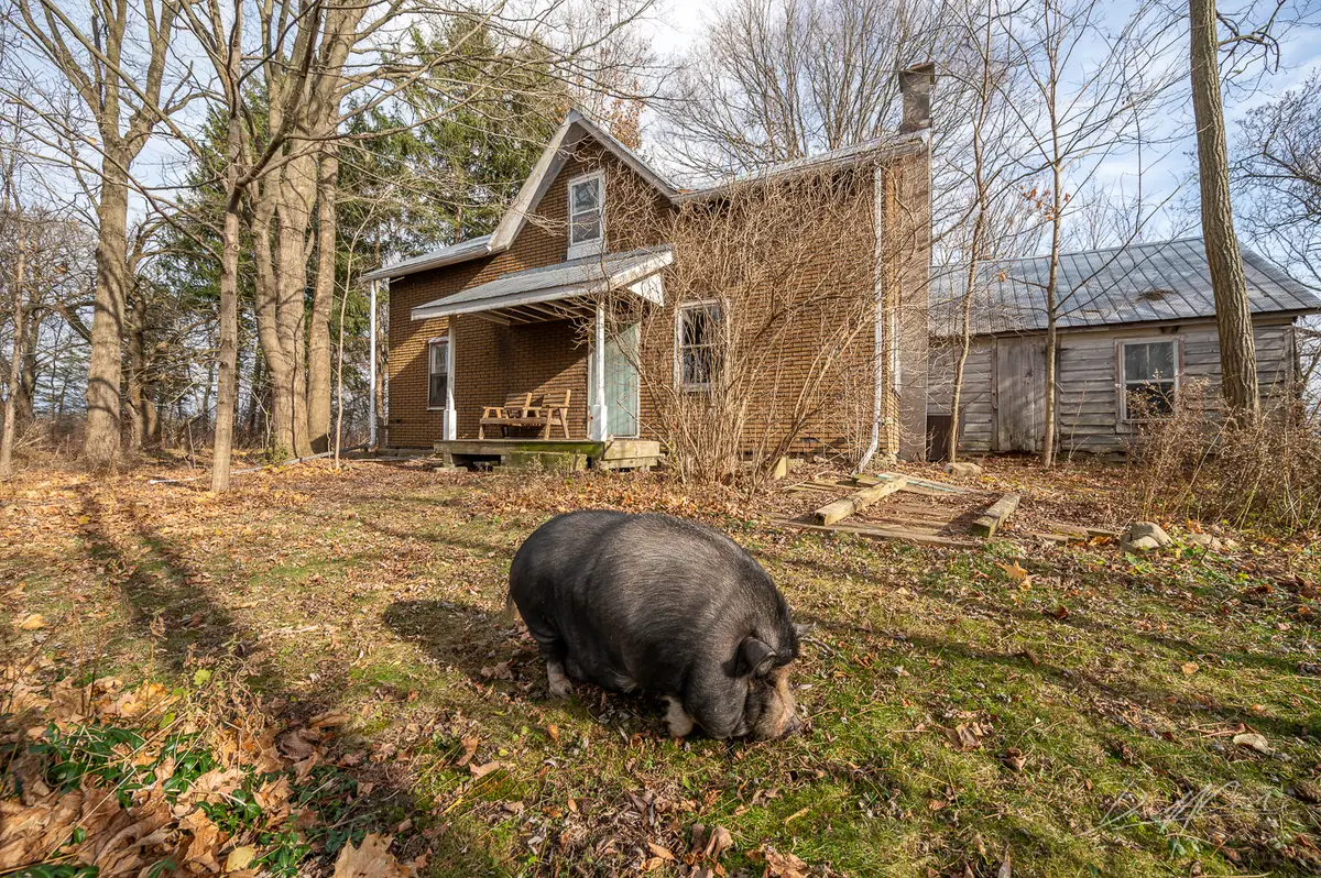 Photograph of an abandoned house located in Ontario, Canada, captured during an urban exploration project by Freaktography. This image is part of a visual study on the rise of abandoned and vacant properties across rural and urban Ontario, including luxury neighborhoods like Bridle Path. Shot on location with natural lighting to showcase the haunting beauty of decay.